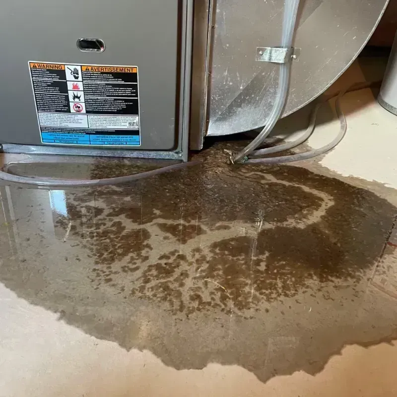 Appliance Leak Cleanup in Onion Creek, TX